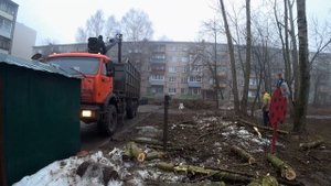 Ломовоз на деревьях