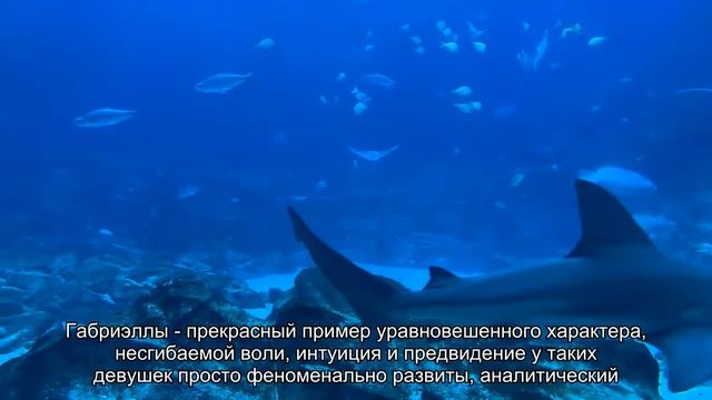 Значение имени Габриэлла. Толкование, судьба, характер