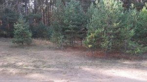 Отдых на берегу р.Кама, вблизи посёлка Орёл, Пермский край