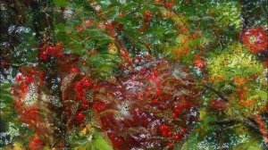 Х Фархи Кышкы чия