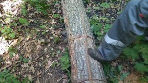 Бензопила KROFF в деле. Самая мощная бензопила.