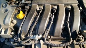 Laguna 2 F4P774 (1.8) стук фазовращателя