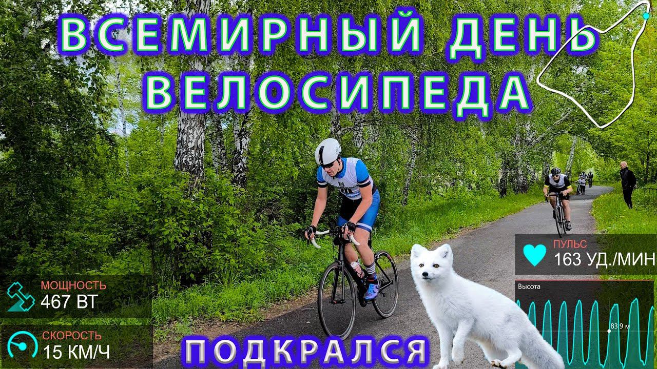 Всемирный день велосипедиста. Писец подкрался сзади...