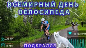 Всемирный день велосипедиста. Писец подкрался сзади...