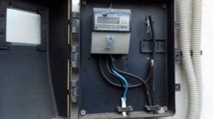 Замена электро автомата, причина почему выбивал обнаружена. Забрали последних заказанных поросят.