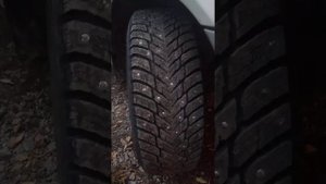 Обзор шины Nokian хаккапелита 10р