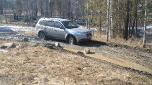 Subaru Forester 3.ГРЯЗЬ