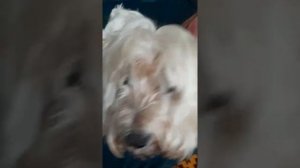 Обивка углового дивана своими руками!!!