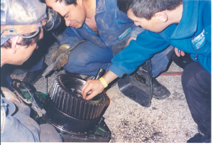 К юбилею команды. 1998 год