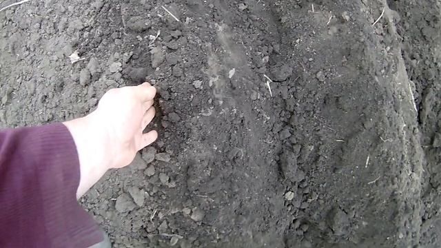 садим картофель мотоблоком смотреть онлайн