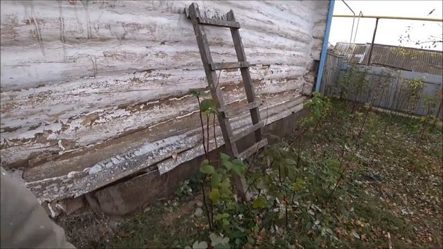 Сегодня я маляр/ покраска и побелка/ старый дом требует внимания. смотреть онлайн