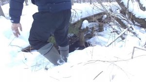 Простейший способ добыть ручейника (шитика)(Водяного)Зимой .#зимняя Рыбалка #супернаживака