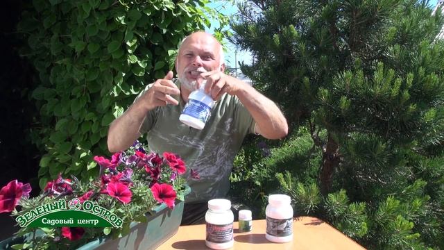 Режимы полива растений после посадки и в начале лета