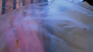 Спасаем пчелок даем " медовые лепешки"