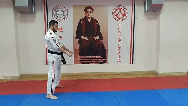 Косики каратэ. Базовая техника. Часть 2. Передвижения в стойках. смотреть онлайн