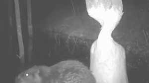 45 Невероятных Моментов, Снятых на Камеры Наблюдения.mp4