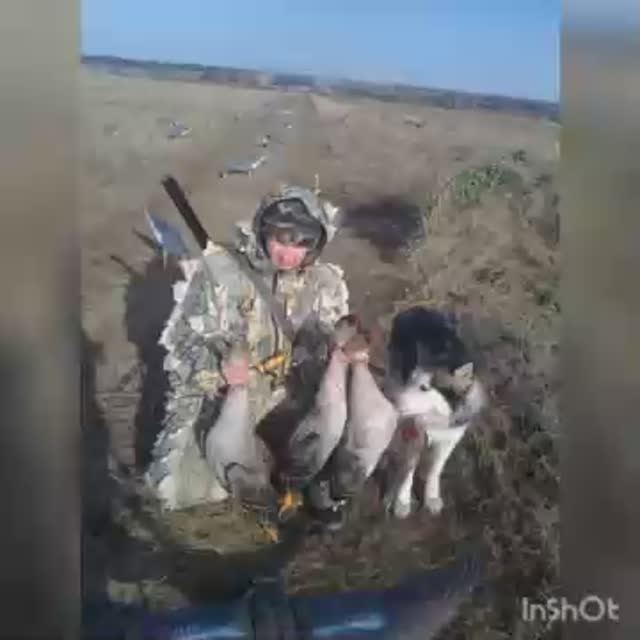 Охота на гуся с профилями.Душа поёт)))... смотреть онлайн