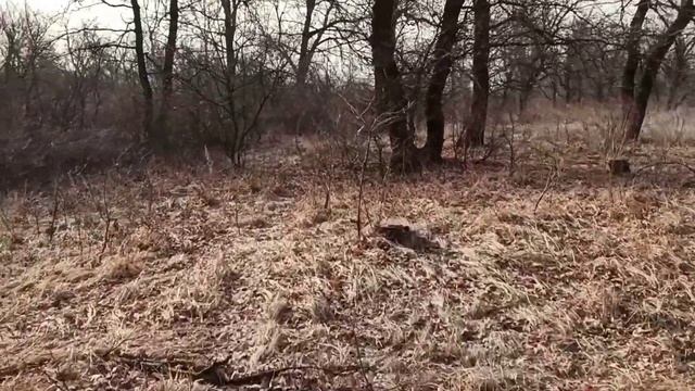Ходьба  по пересечённой местности.