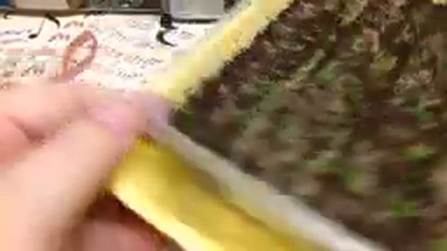 ГВОЗДИКА! ВАЖНЫЕ МОМЕНТЫ ПОСЛЕ ВСХОДОВ! ЧТОБЫ НЕ ПОГИБЛА. смотреть онлайн