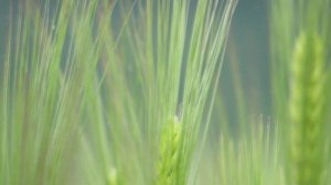 Топ-9 Простейших Бизнес идей в гараже! Бизнес идеи 2020! Бизнес идеи!