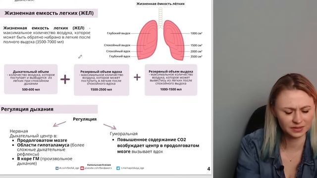 Вся анатомия за 6 часов | Биология ЕГЭ — Напольская Ксения