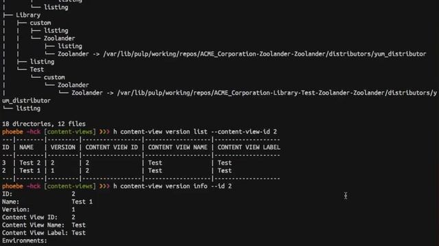 Using the CLI to manage content views in Katello смотреть онлайн