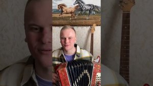 ГАРМОНЬ Степан Васильев - Гранитный камушек (cover)