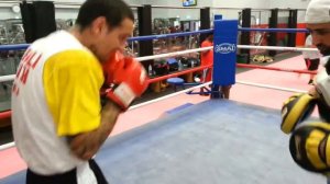 PAUL FLEMING HITTING PADS  - BODYPUNCH BOXING GYM