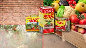 Серная шашка ФАС - сохранит урожай