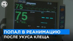 «Укусил в мошонку»: клещи проснулись на Урале
