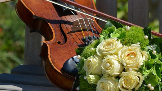 Доигралась. Слушайте рассказ из жизни молодой скрипачки без оркестра. смотреть онлайн