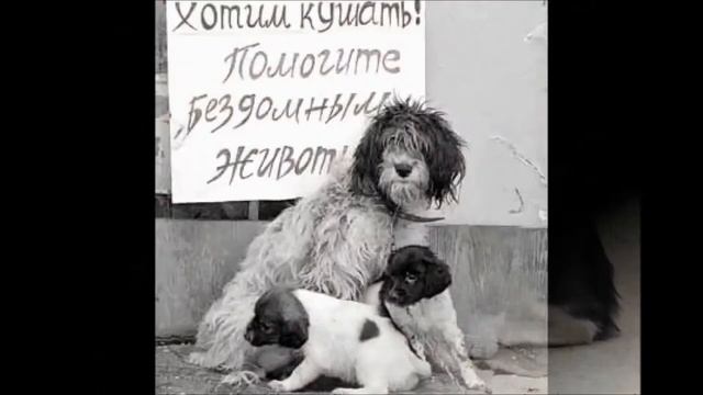 Give life/ Подари жизнь смотреть онлайн