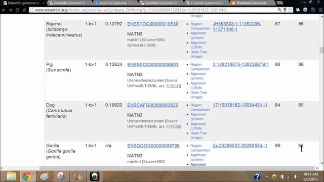 Genetic Comparisons in Ensembl (Full version) смотреть онлайн