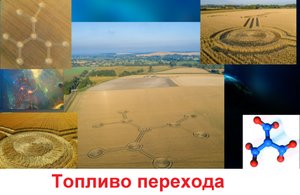 круги на полях 2020 года в Англии расшифровка пиктограммы