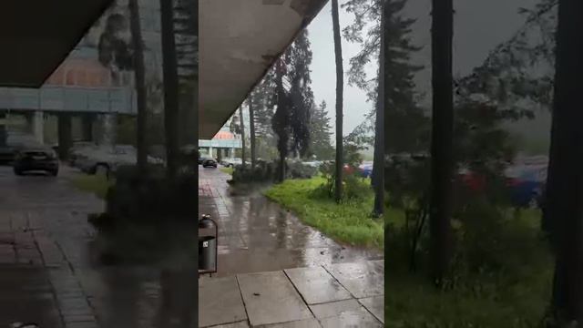 Ураган в Москве! 20.06.24г.