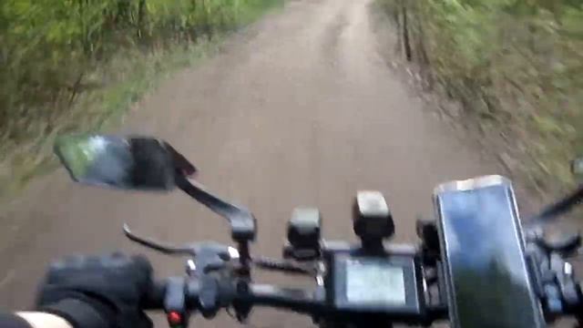ФЭТБАЙК В ДЕЛЕ! НА МОТОРЕ ПО ЛЕСУ!