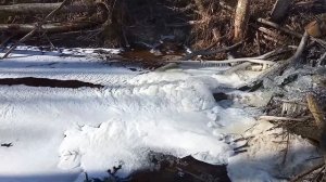 ПЛОТИНА БОБРОВ ЗИМОЙ НА РЕКЕ И БОБРОВАЯ ХАТКА