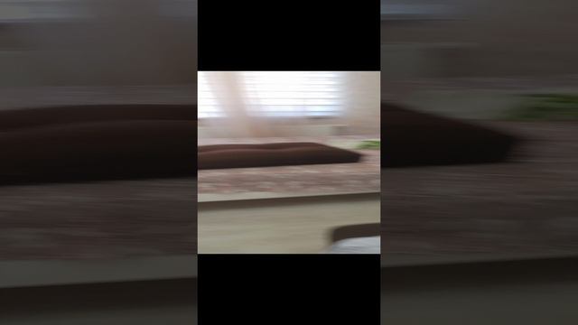 Новороссийск, аренда студии у моря.