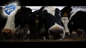 Зимняя экскурсия на молочную ферму от "Искренне Ваш"