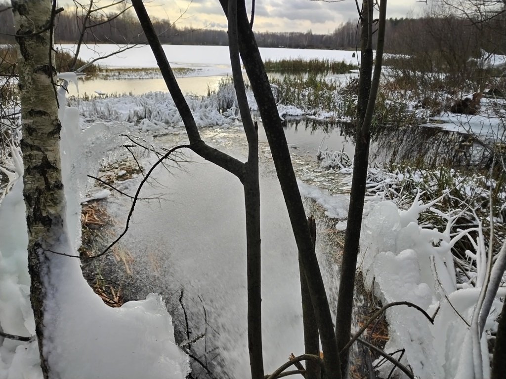 Пойма Косинского ручья