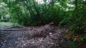 Аномальная зона