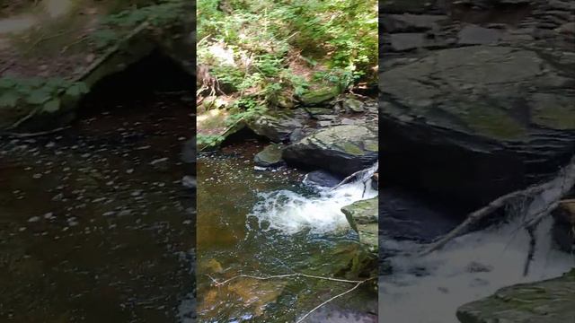 Rickett's Glen Falls Trail, Benton, PA 9/10/22