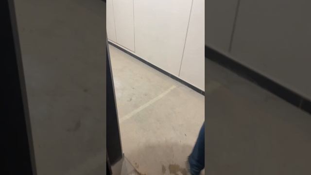 Level Селигерская большой объём отделочных работ