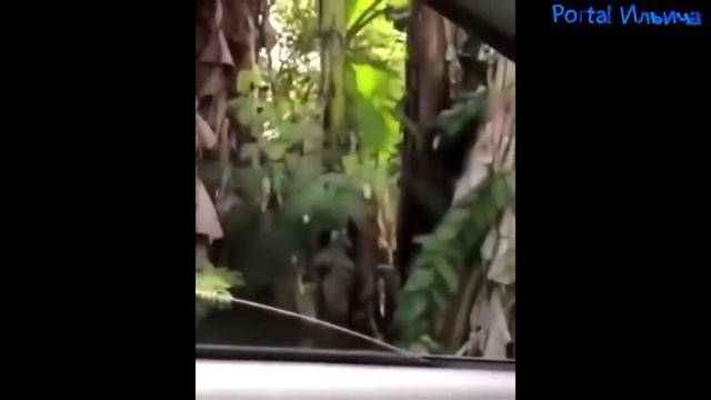 FUN MOVIES - Что заставляет Мужиков...?#49 смотреть онлайн