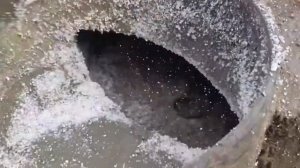 500 кг/м3 пенополистиробетон. На  БАС-250, исполняет Михаил!