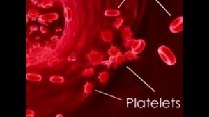 Побочные действия цитостатических препаратов  720