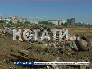 «Мусорные короли» спрятались от властей за горами отходов