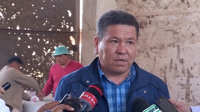 В ЮКО производят элитные семена хлопчатника смотреть онлайн