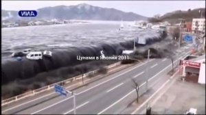 цунами в Японии 2011