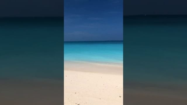 ЗАНЗИБАР - РАЙСКОЕ МЕСТО❗️????ZANZIBAR - PARADISE❗️INDIAN OCEAN ???? ТАНЗАНИЯ #SHORTS